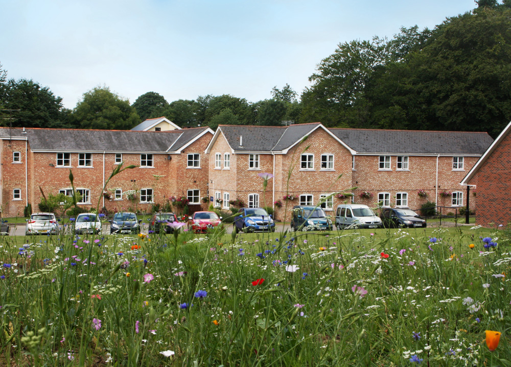 Hartford Care acquires care home in Four Marks, Hampshire